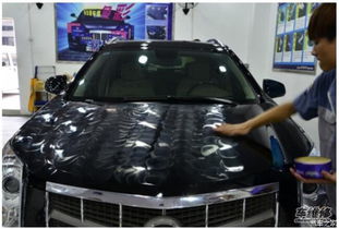 新车到用车 漆面日常养护全知道